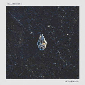 美国女生裸体视频
